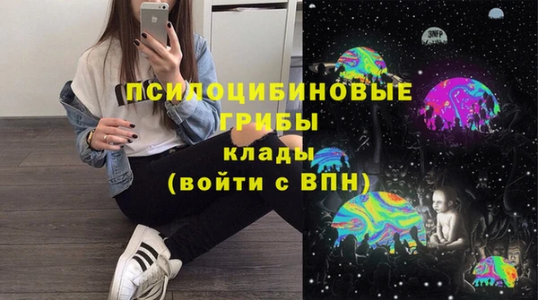 спайс Алексин