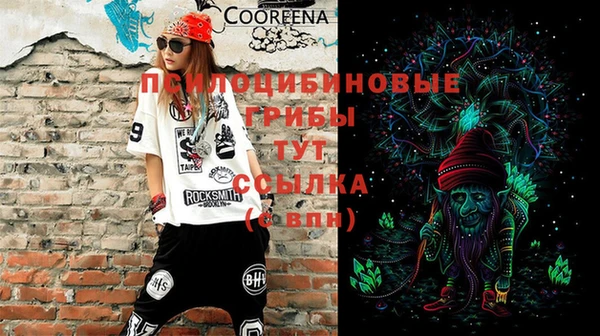 спайс Алексин