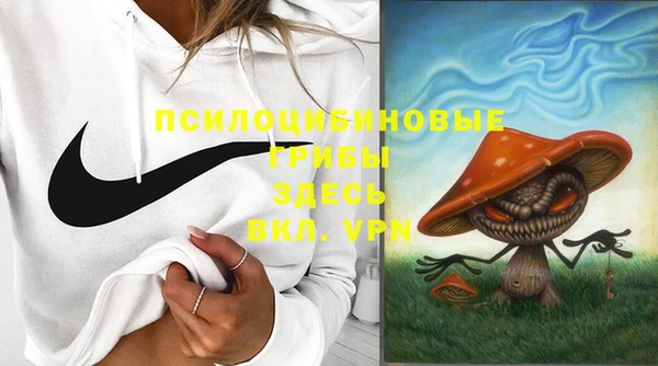 спайс Алексин