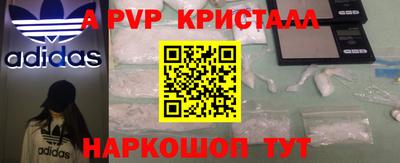 тгк Гай