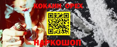 тгк Гай