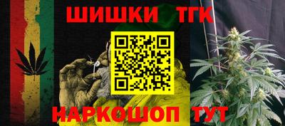 тгк Гай