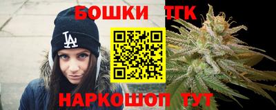 тгк Гай