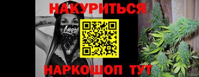 тгк Гай