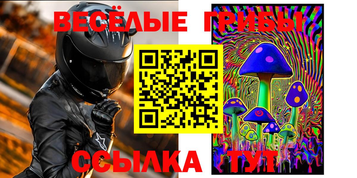 Томск  Псилоцибиновые грибы мицелий  купить   Вход с VPN 