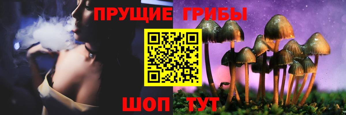 Псилоцибиновые грибы прущие грибы Томск